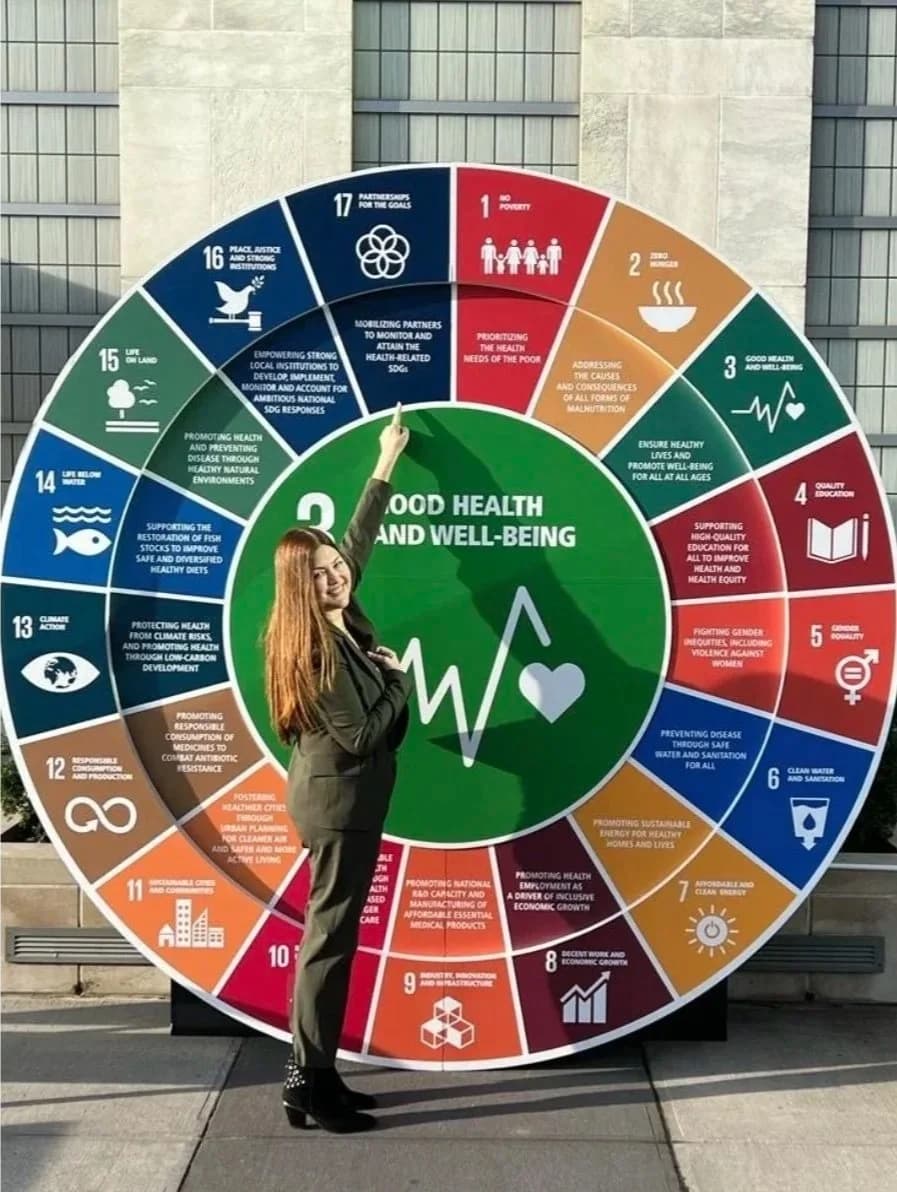UN SDG 17 Partnerships for the Goals